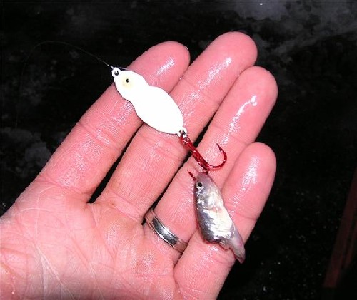 FrosteeJigginSpoon