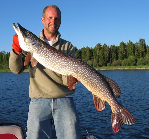muskie0001