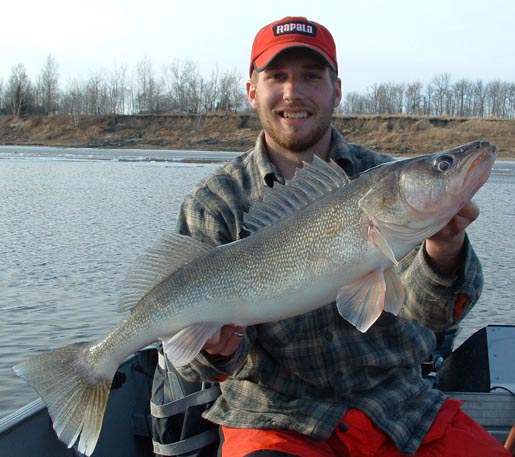 walleye0002