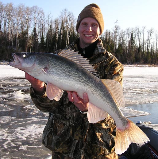 walleye0048