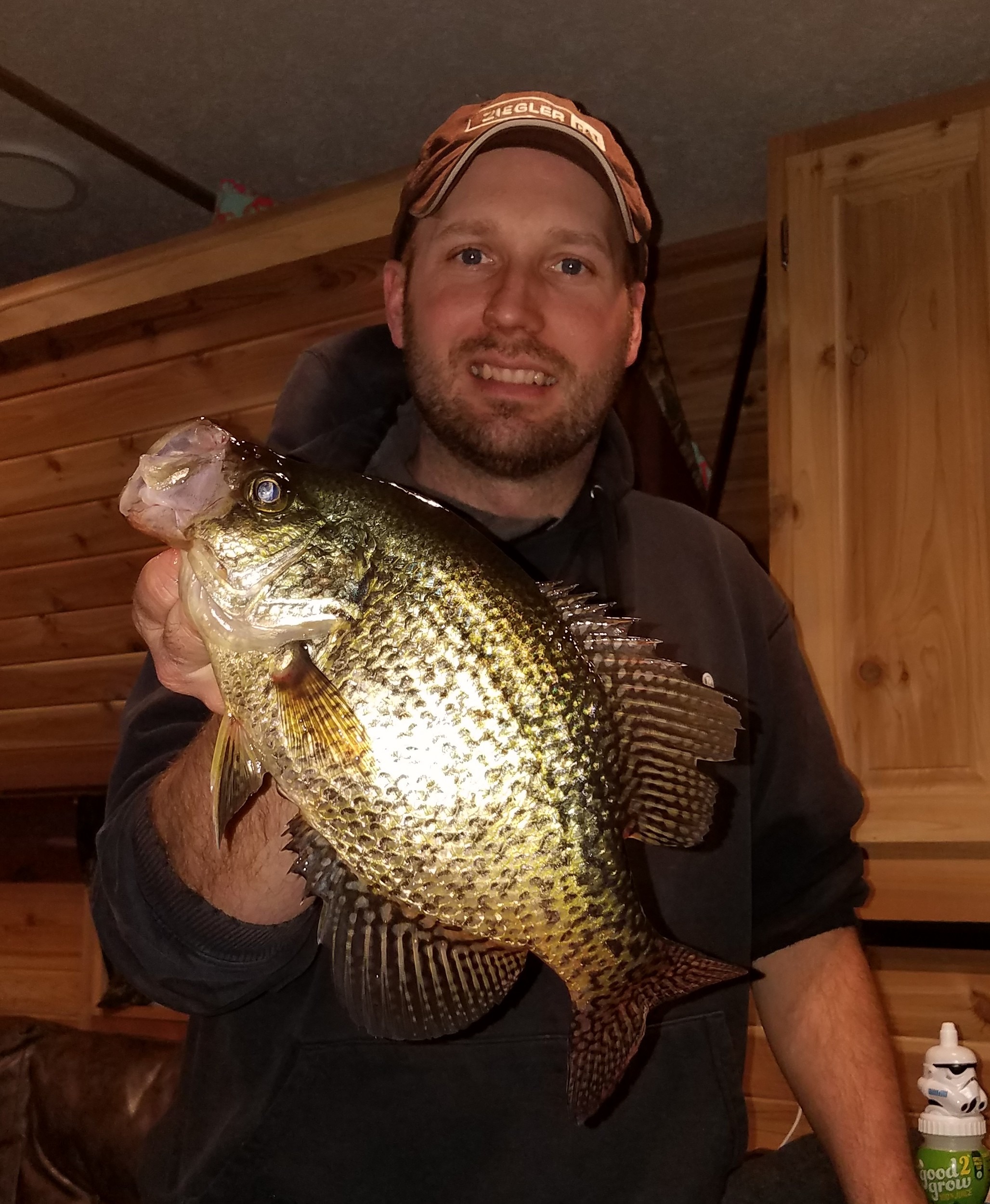 Fat Crappie