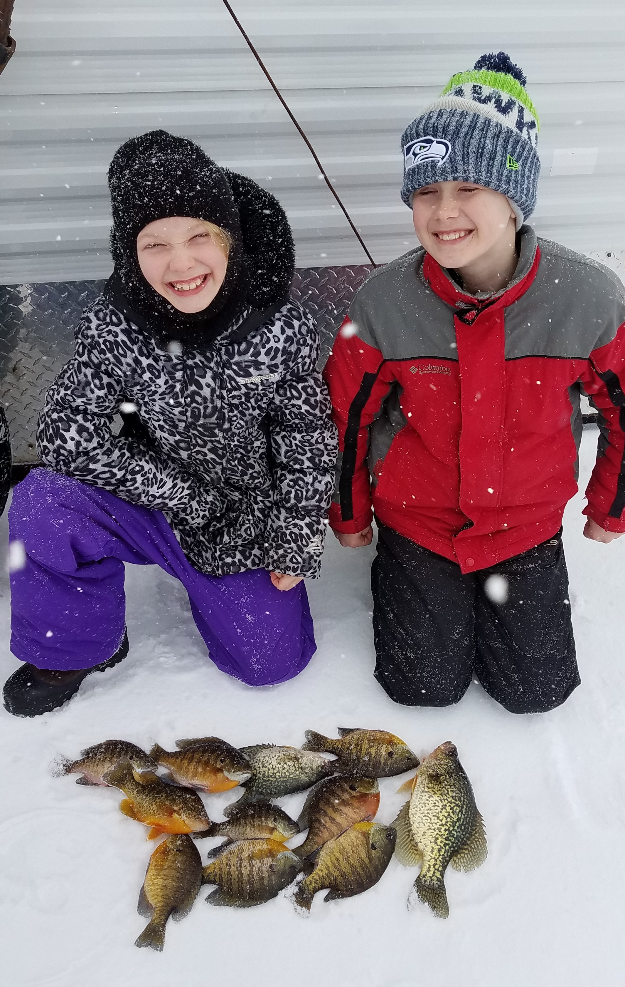 Nice Panfish!